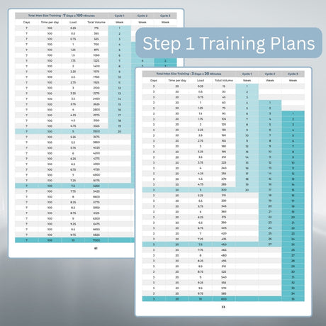 TP - Step 1 Plans